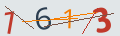 verifycode